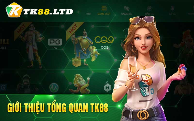 Tổng quan nhà cái TK88