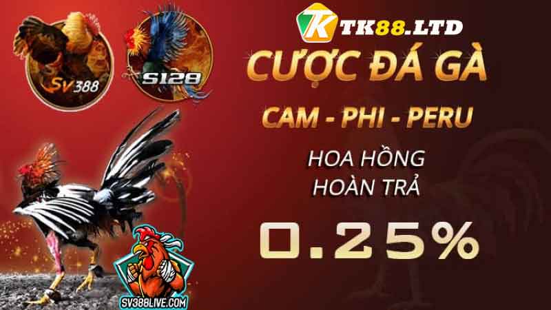 Đặt cược hoàn trả hấp dẫn