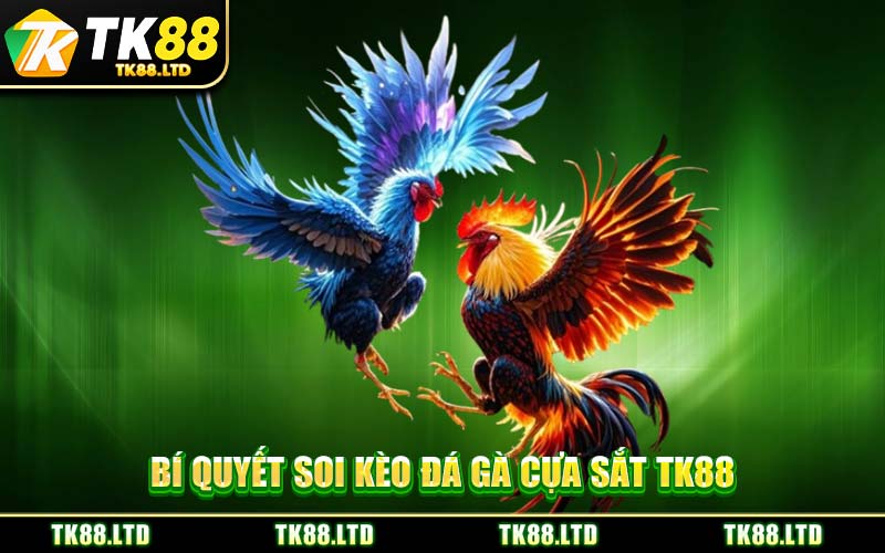 Bí Quyết Soi Kèo Đá Gà Cựa Sắt TK88