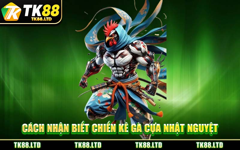 Cách Nhận Biết Chiến Kê Gà Cựa Nhật Nguyệt