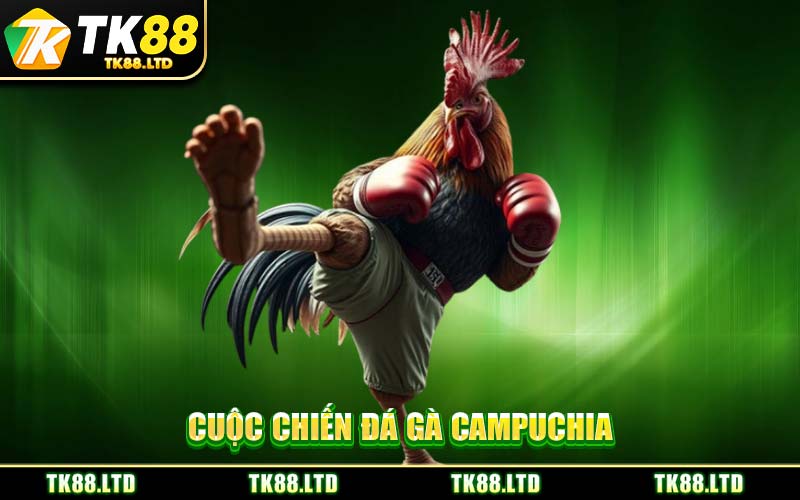 Cuộc Chiến Đá Gà Campuchia