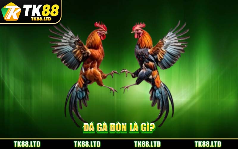Đá Gà Đòn Là Gì?