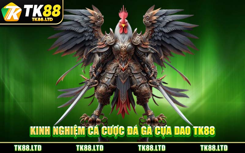Kinh Nghiệm Cá Cược Đá Gà Cựa Dao TK88