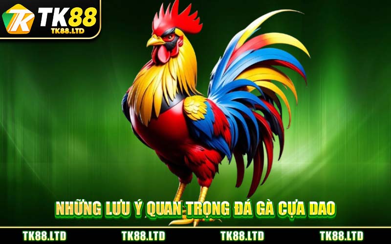 Những Lưu Ý Quan Trọng Đá Gà Cựa Dao