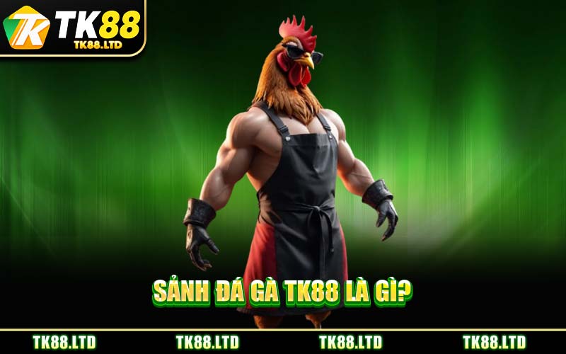 Sảnh Đá Gà TK88 Là Gì?