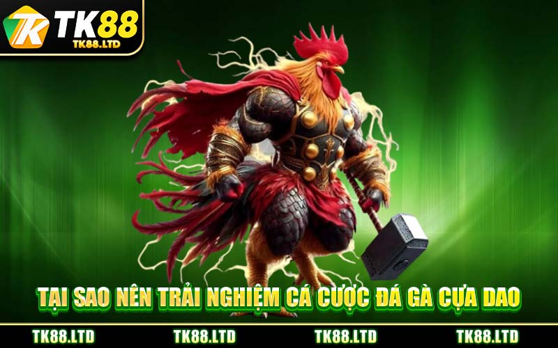 Tại Sao Nên Trải Nghiệm Cá Cược Đá Gà Cựa Dao