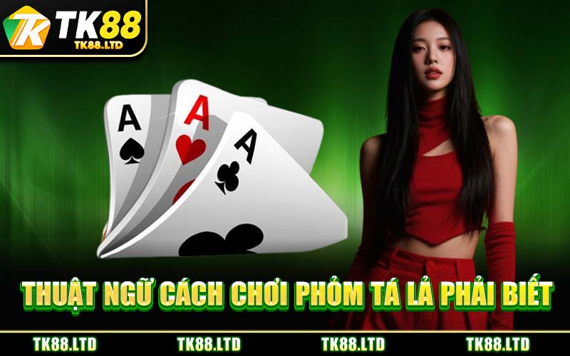 Thuật Ngữ Cách Chơi Phỏm Tá Lả Phải Biết